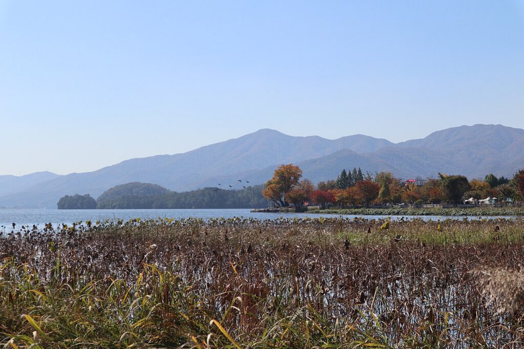 마른 연밭 너머로 물길과 단풍 든 강변, 겹겹이 이어진 산이 보이는 두물머리
